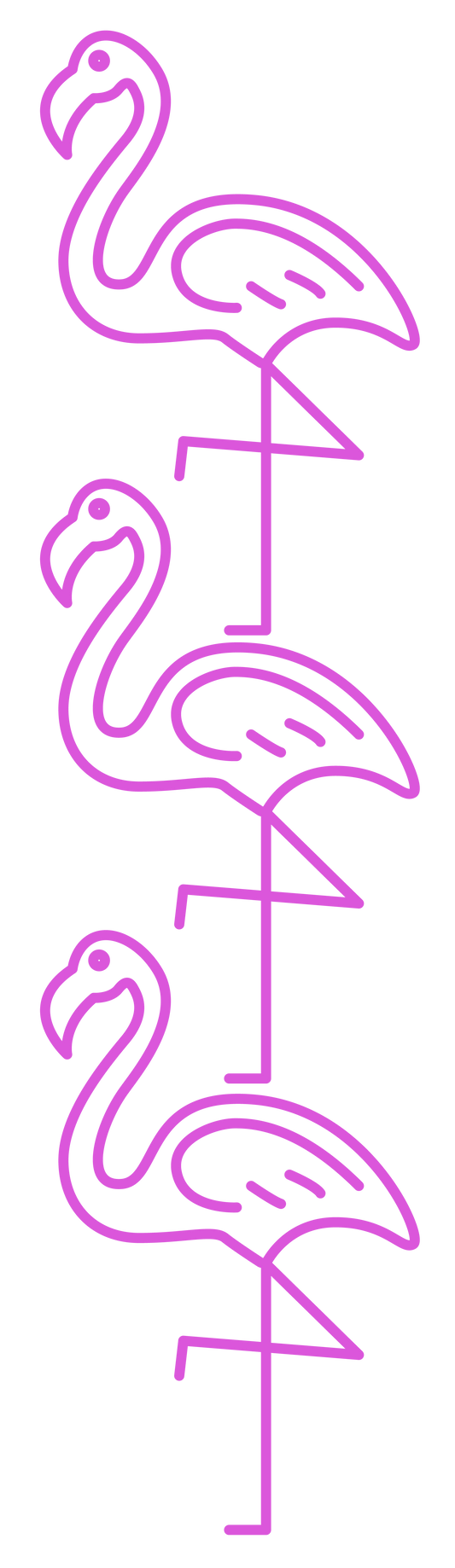 Flamingo